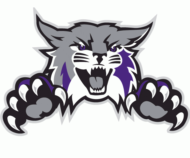 Weber State Wildcats 2012-Pres Alternate Logo DIY iron on transfer (heat transfer)